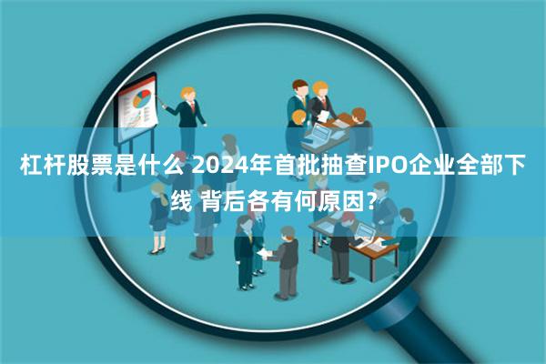 杠杆股票是什么 2024年首批抽查IPO企业全部下线 背后各有何原因？