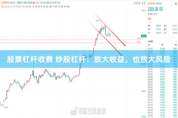 股票杠杆收费 炒股杠杆：放大收益，也放大风险