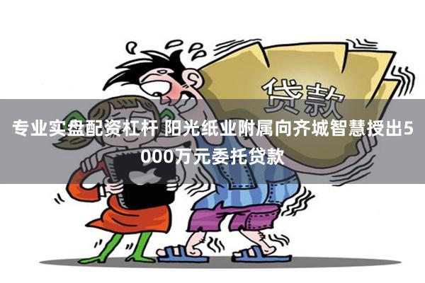 专业实盘配资杠杆 阳光纸业附属向齐城智慧授出5000万元委托贷款