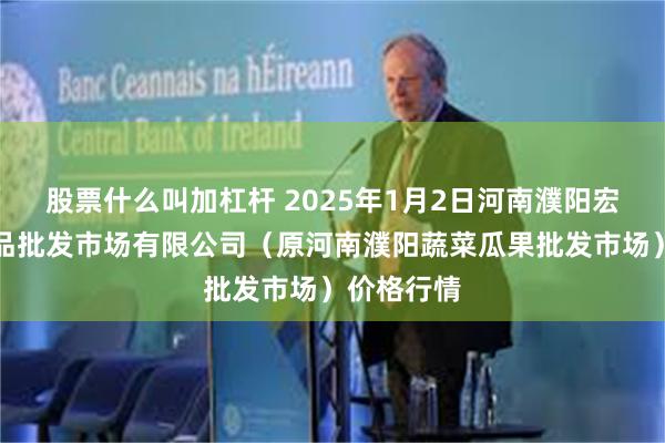 股票什么叫加杠杆 2025年1月2日河南濮阳宏进农副产品批发市场有限公司（原河南濮阳蔬菜瓜果批发市场）价格行情