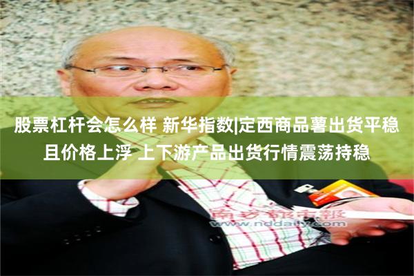 股票杠杆会怎么样 新华指数|定西商品薯出货平稳且价格上浮 上下游产品出货行情震荡持稳