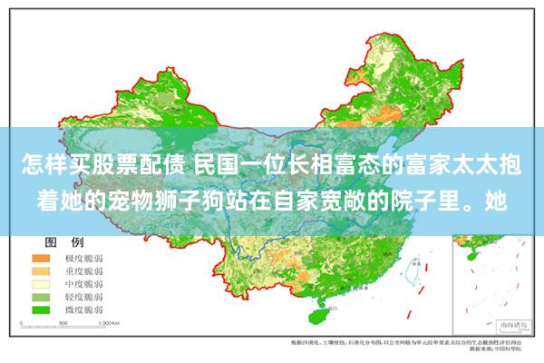 怎样买股票配债 民国一位长相富态的富家太太抱着她的宠物狮子狗站在自家宽敞的院子里。她