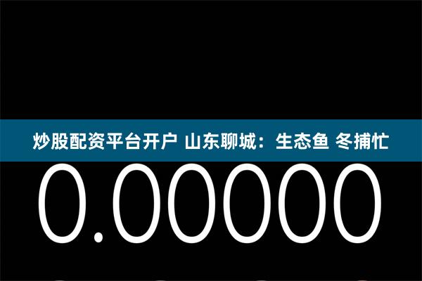 炒股配资平台开户 山东聊城：生态鱼 冬捕忙