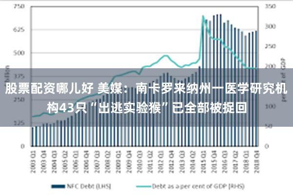 股票配资哪儿好 美媒：南卡罗来纳州一医学研究机构43只“出逃实验猴”已全部被捉回