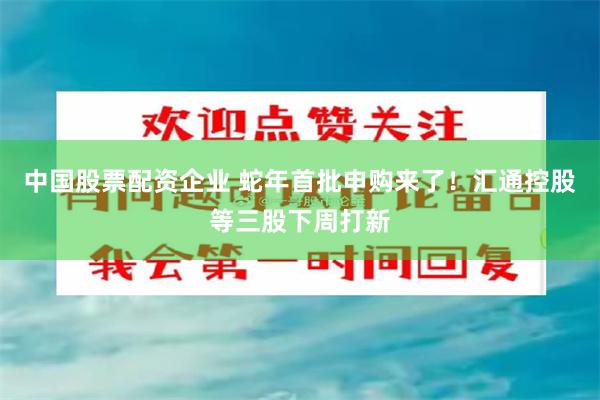 中国股票配资企业 蛇年首批申购来了！汇通控股等三股下周打新