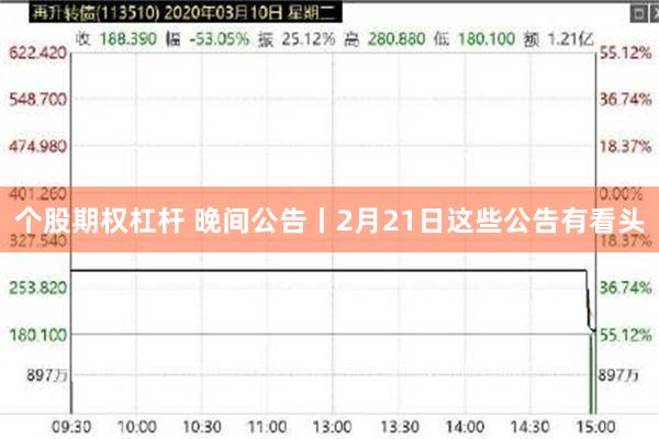 个股期权杠杆 晚间公告丨2月21日这些公告有看头