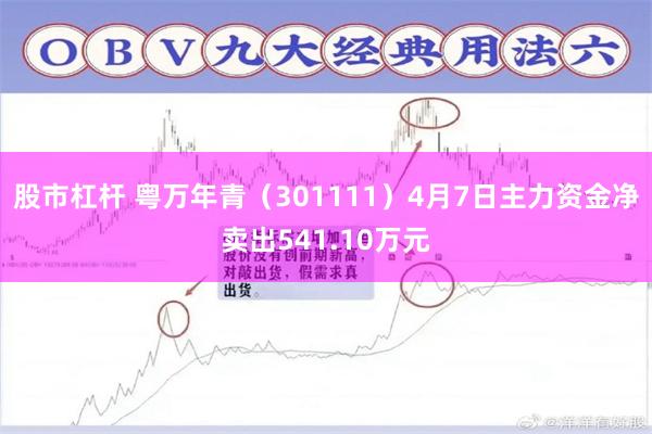 股市杠杆 粤万年青（301111）4月7日主力资金净卖出541.10万元
