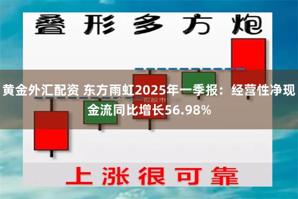 黄金外汇配资 东方雨虹2025年一季报：经营性净现金流同比增长56.98%