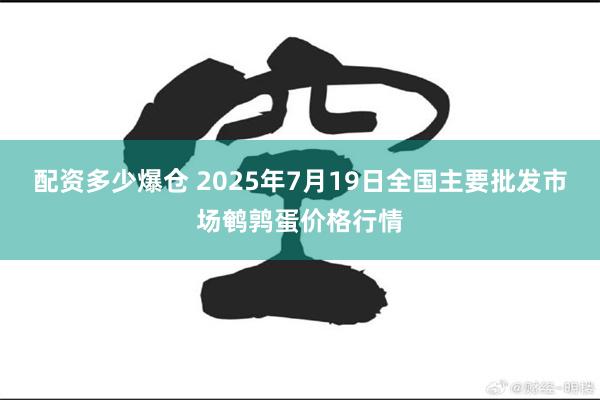 配资多少爆仓 2025年7月19日全国主要批发市场鹌鹑蛋价格行情