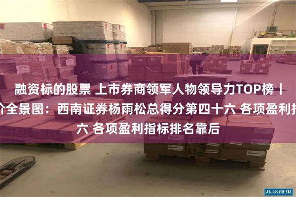 融资标的股票 上市券商领军人物领导力TOP榜丨行业数据评价全景图：西南证券杨雨松总得分第四十六 各项盈利指标排名靠后